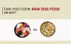 Can You Cook Raw Dog Food: Pro & Cons, Cause & Substitutes